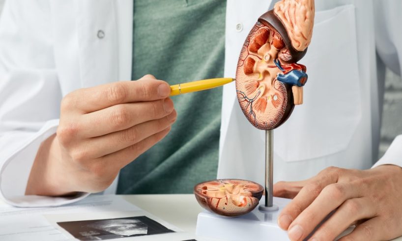 Info Praktek Dokter Spesialis Urologi Jombang, dr. Sonny