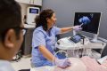dokter kandungan perempuan Madiun