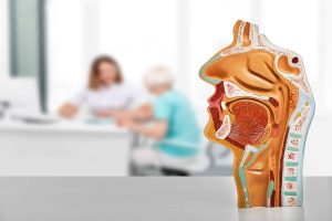 dokter spesialis THT Magetan