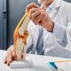 dr. Dimas Triaryo, Sp. OT, Rekomendasi Dokter Spesialis Orthopedi Pacitan