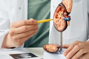 dr. Dwi Djuwantoro, Sp. U, Praktek Dokter Spesialis Urologi Magelang